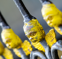 Chystáte se na zimní výlet do Plzně? O víkendu se tu rozhodně nudit nebudete