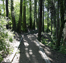 Lobezský park se dočká obnovy