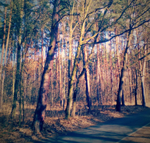 Sofronka zve na Den lesa i výstavku hub