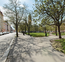 Počet stromů na Jiráskově náměstí vzroste ze 136 na 160