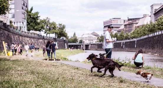 Festival Náplavka k světu i letos oživí břeh řeky Mže a nově břeh Radbuzy