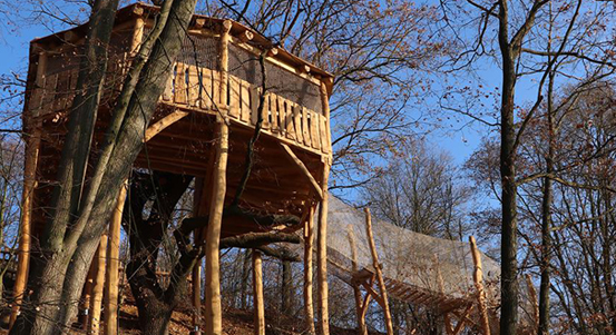 Poznat korunu dubu mohou návštěvníci v zoo Plzeň