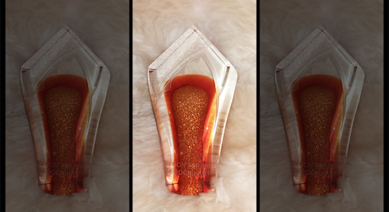 Archivářka města Jitka Janečková vyhrála soutěž Média na pomoc památkám