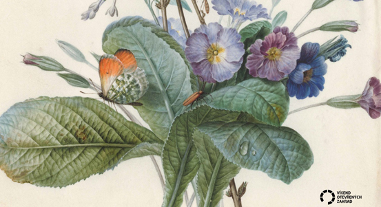 O víkendu se otevřou zahrady v Plzni a okolí