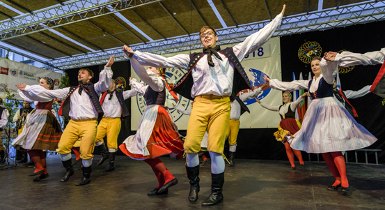 Město rozdělí téměř milion korun mezi 13 uměleckých organizací