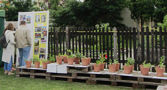 Masarykova škola připravila Víkend otevřených zahrad u dominikánů