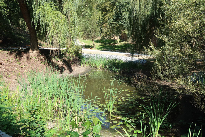Lobezský park - jezírko (zdroj fotografií: SVSMP)