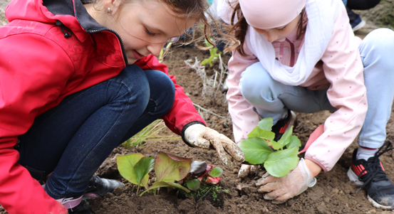 Realizace projektu Rekonstrukce zahrady 28. základní školy v Plzni v přírodním stylu