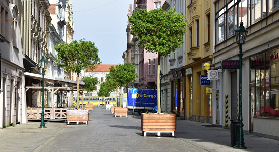 Javory stojí v Riegrově ulici