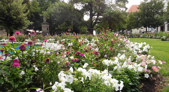 Plzeň rozšířila chytrý systém zavlažující městské parky, nově se hospodaří s vodou i v sadovém okruhu kolem historického jádra města