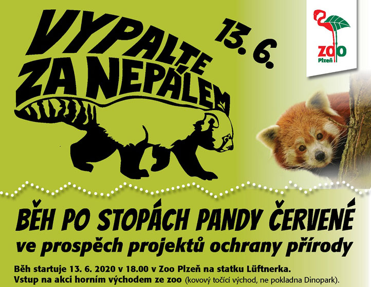Ilustrační obrázek
