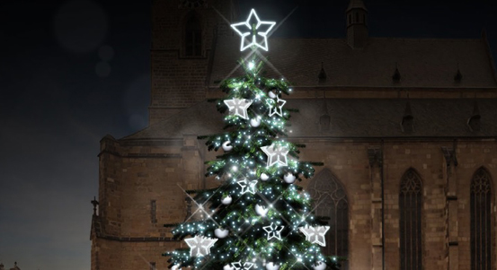 Anketa: Jak chcete, aby letos vypadal vánoční strom v Plzni?