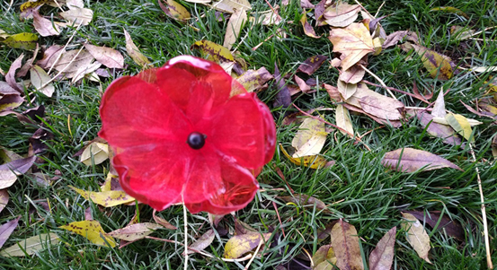 Červené květy pomáhají hrdinům i v nelehké době pandemie