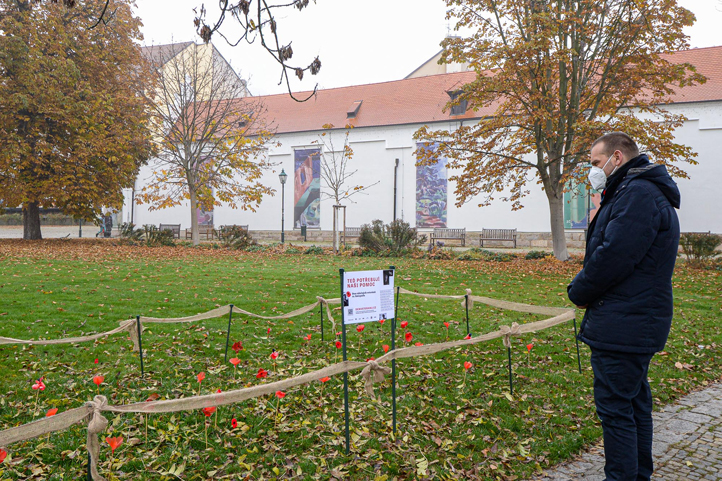 Fotografie: M. Pecuch