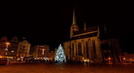 Máte hezkou 15 metrů vysokou jedli, smrk či douglasku? Nabídněte je Plzni jako vánoční strom