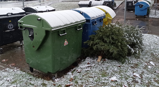 Vánoční stromky mohou lidé odkládat ke kontejnerům
