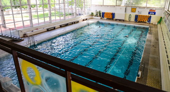 Město podpoří bývalé olympioniky i provoz bazénu SK Radbuza