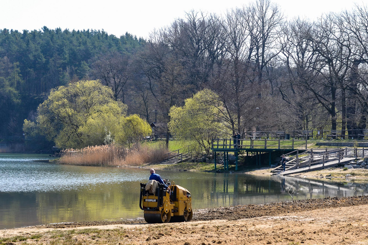 Velký bolevecký rybník (fotografie: M. Pecuch)