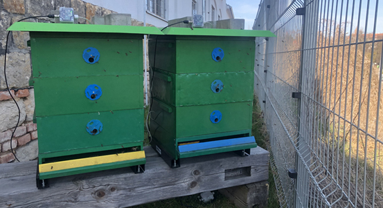 Včelstva v Plzni sleduje umělá inteligence, přináší řadu užitečných informací pro včelaře