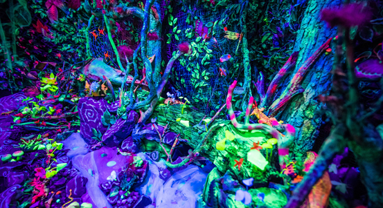 Výstava Tajuplný les se prodlužuje do prosince 2021