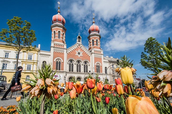 Fotografie: M. Říský