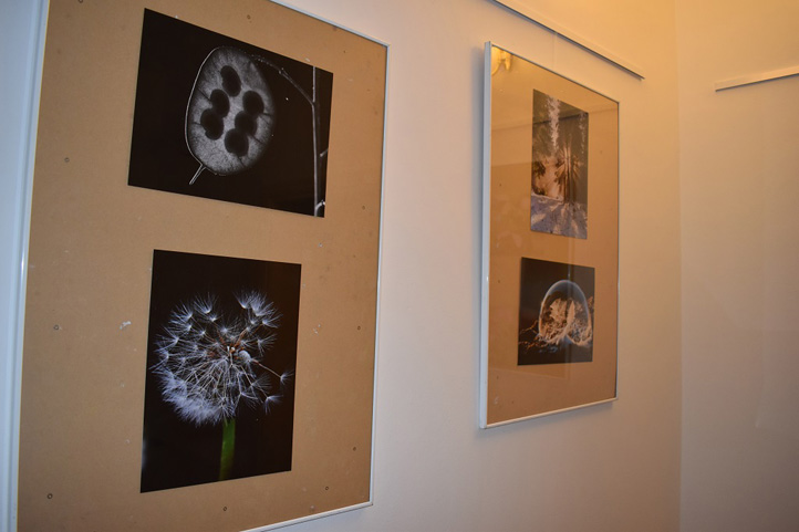 foto: H. Josefová
