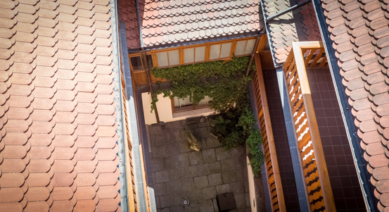 Začal předprodej vstupenek na komentované prohlídky Plzeňských dvorků