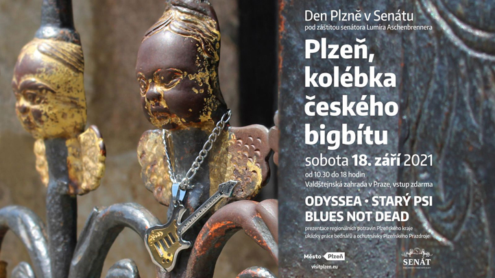 Vizuál akce Den Plzně v Senátu