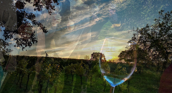 Kam v Plzni vyrazit o víkendu?