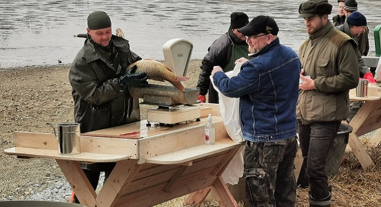 Kapři z Drahotínského rybníka a stromečky z městských lesů budou před Vánoci v prodeji na sádkách u rybníka Košináře