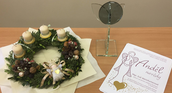 Plzeň zná Zlatého Anděla, Dobré duše i Andělské ruce. Rozdala ocenění v sociálních službách