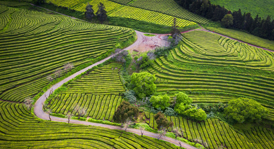 Měšťanská beseda zve v únoru k cestování, na úspěšné divadelní komedie i zajímavé filmy
