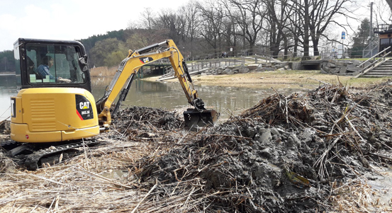 Čištění břehů Velkého boleveckého rybníka od rákosí a orobince bude letos pokračovat. Pomůže hlavně plavcům
