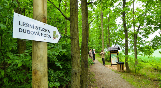 Plzeň pečuje o oblasti, kam lidé mohou vyrazit za odpočinkem i ponaučením