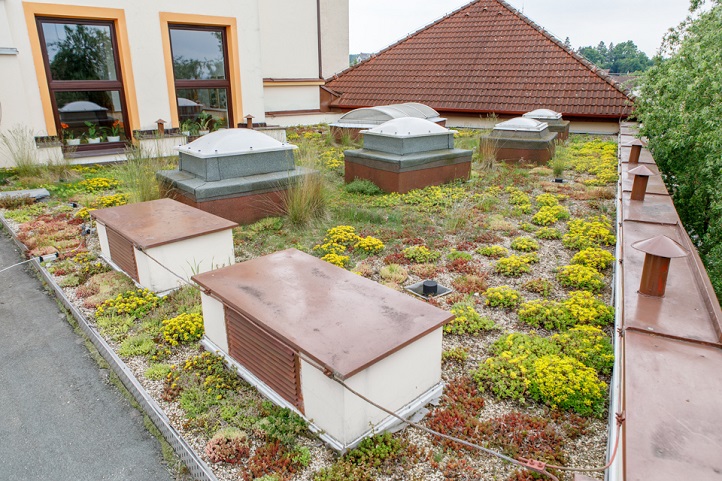 Střechy plzeňských škol a školek se mohou zazelenat. Plzeň pomůže se statickým posudkem, projektem i samotnou realizací