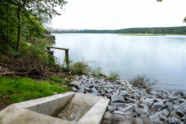 Zahájení dopouštění Velkého boleveckého rybníku (fotografie: M. Pecuch)