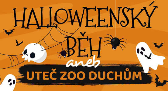 Na Halloweenský běh a Zoostrašení zve plzeňská zoologická zahrada