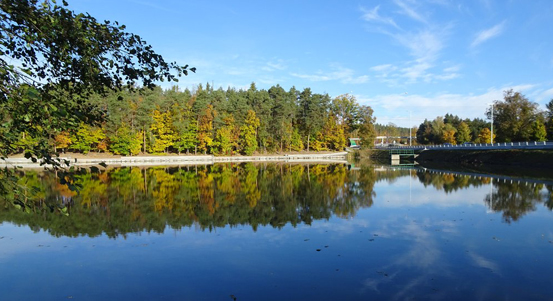 Plzeňští městští rybníkáři po letech vyloví Třemošenský rybník 