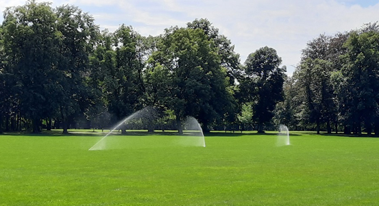 Plzeň podpořila myšlenku chytrého zavlažování, nyní technologii používá ve svých parcích