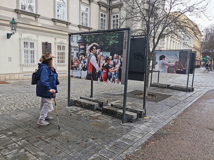 Fotografie výstavy: E. Kriegerová