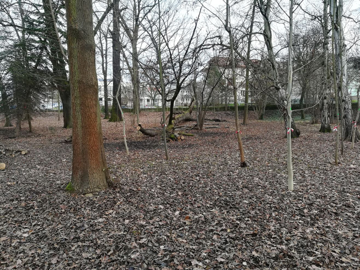 Papírenský park na Slovanech (fotografie: P. Kuták)