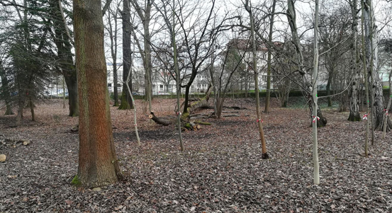 Plzeň zahájila přípravné práce k revitalizaci Papírenského parku