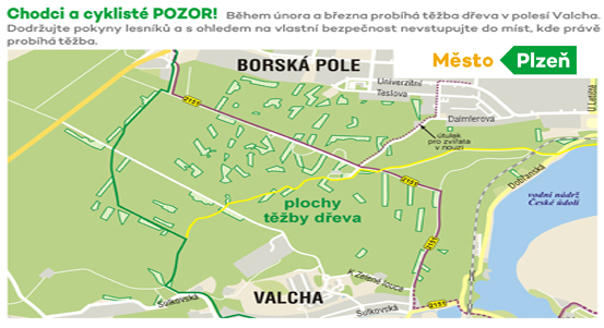 Začala těžba dřeva v přestárlých lesích na Valše a Nové Hospodě