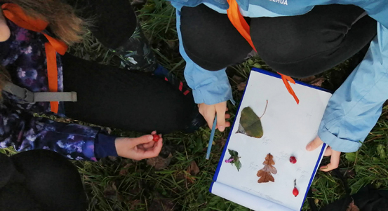 Město Plzeň podporuje ekologickou výchovu ve školách