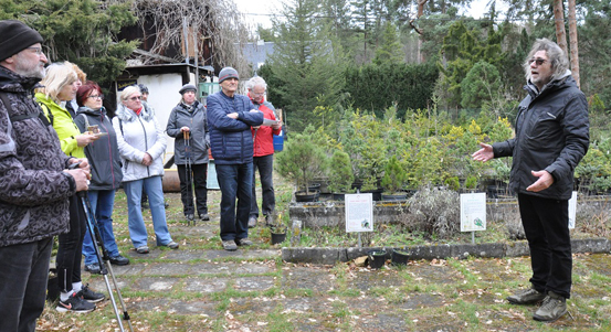 Arboretum Sofronka rozšiřuje otevírací dobu. Nabízí pravidelné prohlídky s průvodcem v termínech dostupnějších pro veřejnost.
