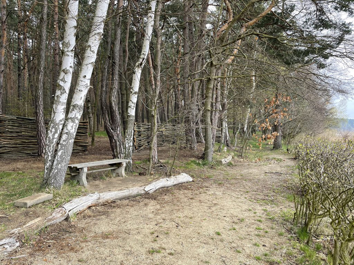 Zdroj fotografií: Správa veřejného statku města Plzně