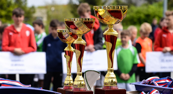Družstvo složené z žáků prvních až třetích tříd 25. ZŠ zvítězilo ve své kategorii v krajském kole McDonald’s Cupu