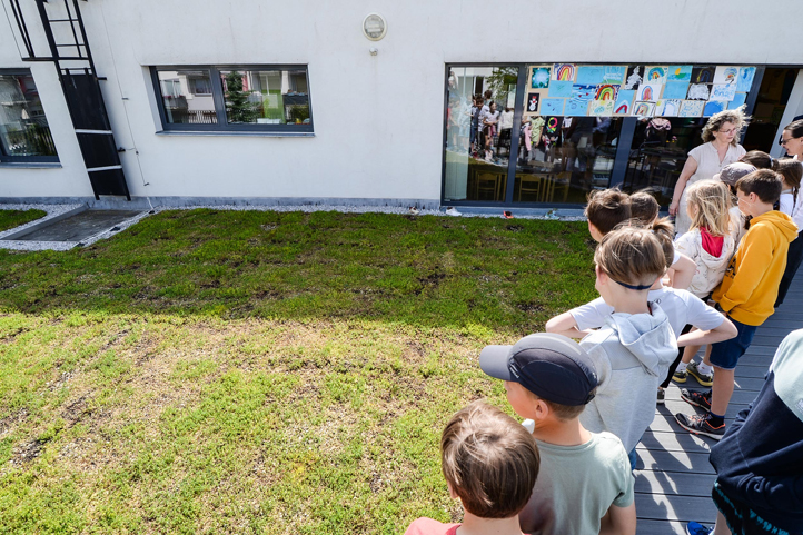 Zelená střecha v MŠ Černicích (fotografie: M. Pecuch)