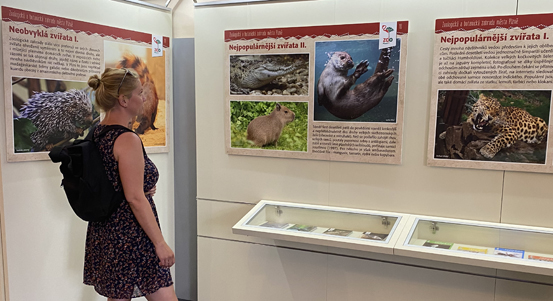 Plzeňská zoo zve na novou výstavu