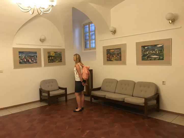 Výstava na plzeňské radnici (fotografie: M. Krausová)